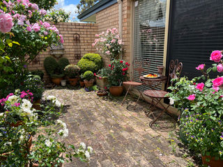 The Courtyard, Heritage Roses Perth