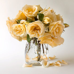 Lady Hillingdon image credit Martin Davidson.jpg