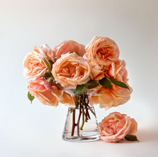 Tea R (126) Anna Olivier A.jpg