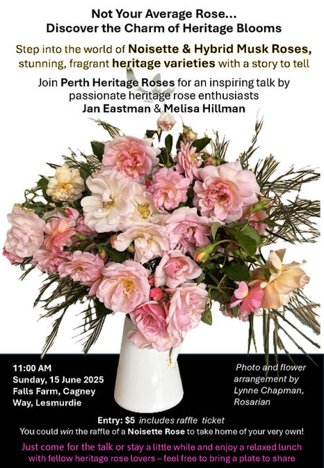 Not Your Average Rose - Hybrid Musks & Noisettes