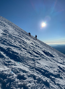 IMG_1391.jpg