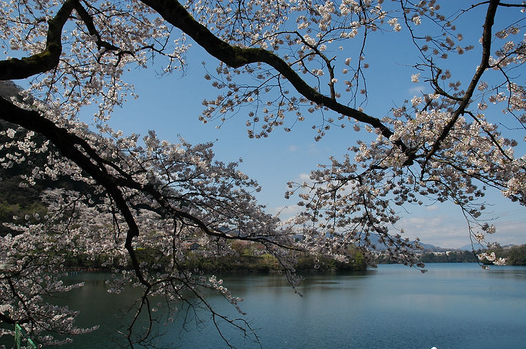DSC_0221.JPG