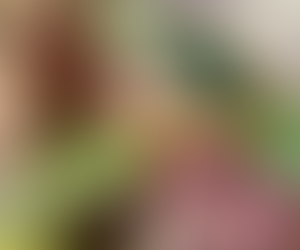 インドシナウォータードラゴン