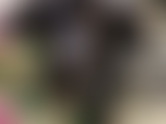 我が家にきて12年と4ヶ月。