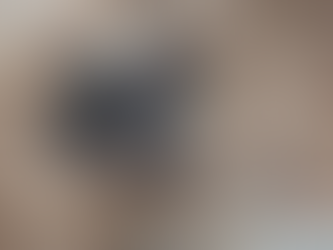 ひまの家族より