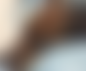 メイプル大好きだよ〜(*´˘`*)♡