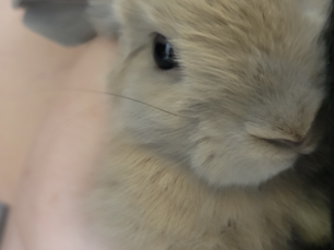 陽翔(ひなと)くん