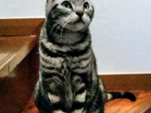 りょうくんの思い出