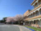 写真⑥.jpg