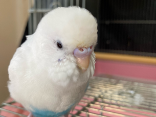 ソラと六年間。