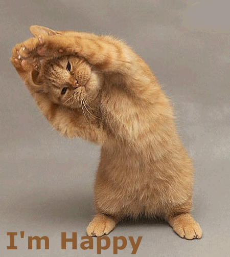 _cat_012_gif_50dec41e4196c.gif