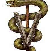 Logo de www.campanaesterilizacion.com