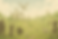 imagem_2025-06-24_122933619.png