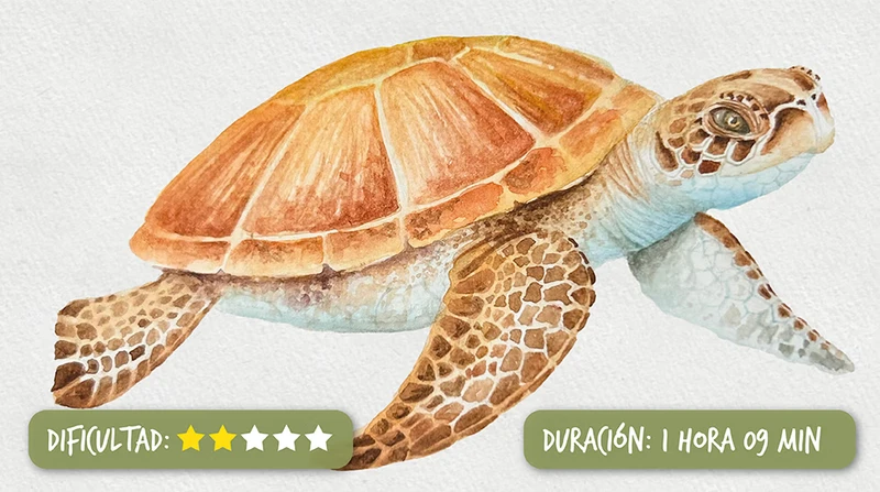 Tortuga en Acuarela por Lucho Salcedo