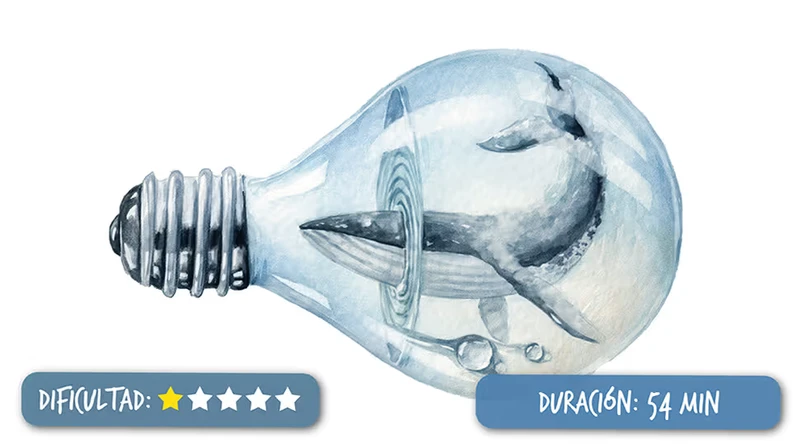 Tortuga en Acuarela por Lucho Salcedo