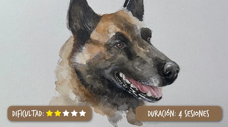 Imagen de portada del curso de ilustración de mascotas, presentando un retrato en primer plano de un perro en acuarela. Se aprecian las texturas de las pinceladas y la profundidad del color en el pelaje y los ojos. El fondo suave incluye pinceles y paletas de colores. El texto principal anuncia: 'Retrato de Mascotas en Acuarela: Captura su Esencia'.
