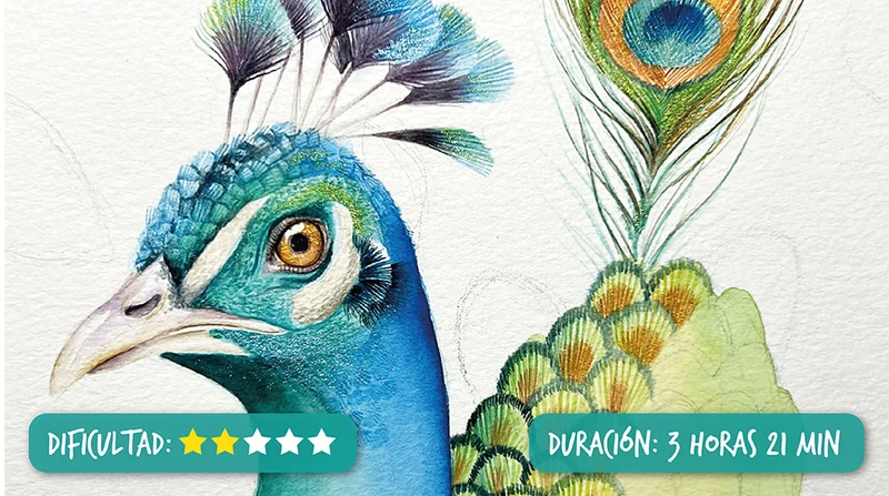 ilustracion de jirafa en acuarela