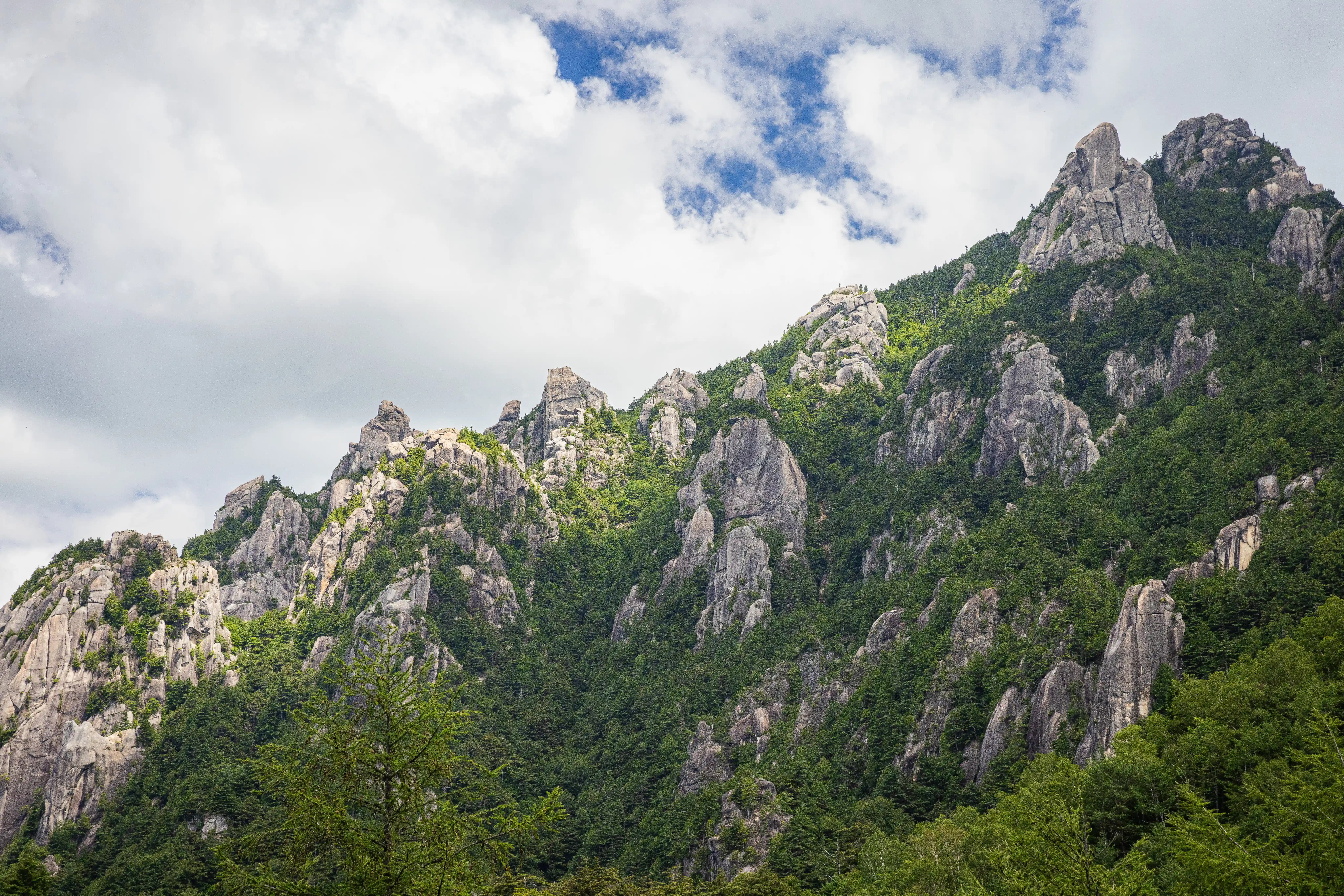Kinpu-3.webp