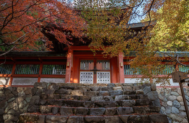jingo-ji-15.jpg