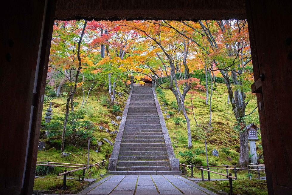 best temples Arashiyama - jojakkoji
