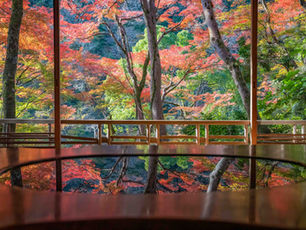 The Most Unique Art Gallery in Japan — The Arashiyama Yusai-tei
