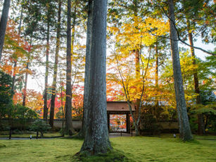 Sanzen-in Temple