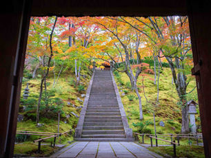 Jojakkoji Temple, Kyoto