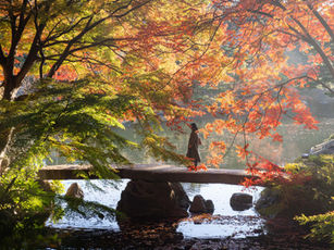 The Rikugien Gardens autumn tokyo