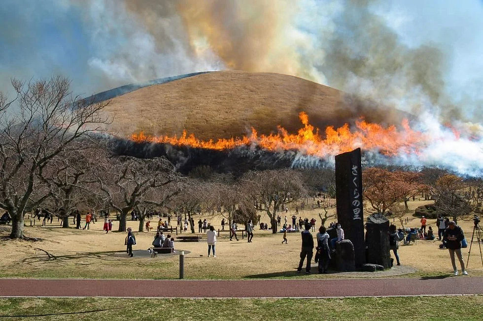 Mt. Omuro Yamayaki Festival - burning mountain