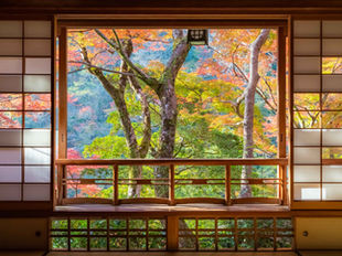 A Complete Guide To Experience Autumn in Kyoto
