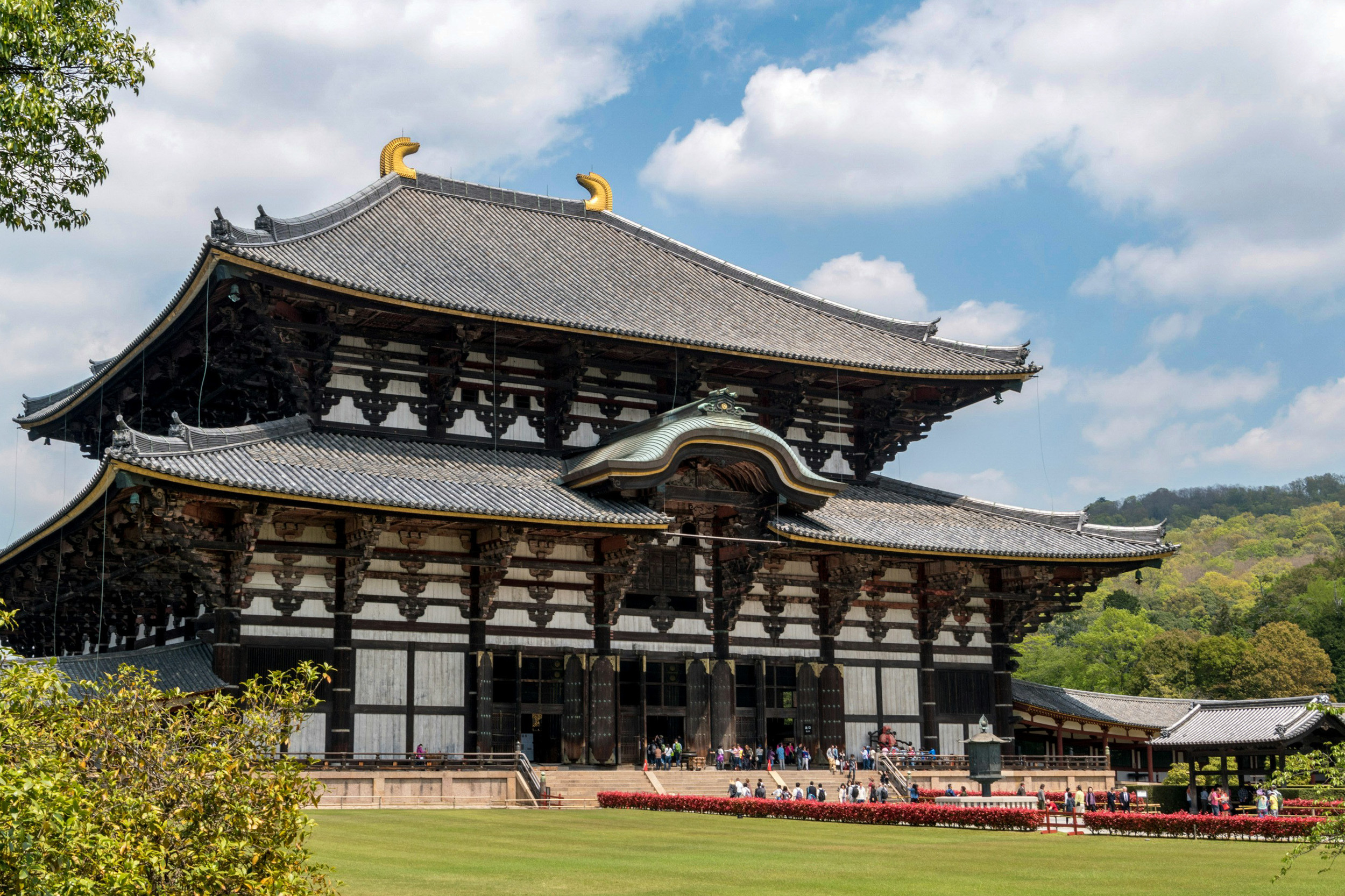 A Complete Guide To Visiting Nara - Hike Master Japan