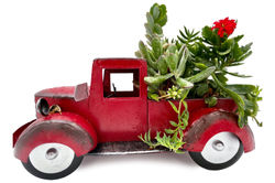 Image- (16 of 21)_edited_edited