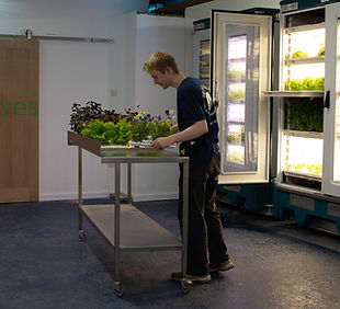Seedleaves farm UK.jpeg
