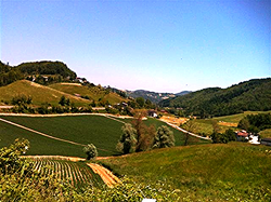 patate giugno 11_edited