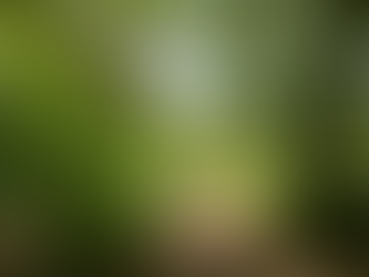 Augen zu - Herz offen