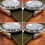 Thumbnail: 1991 N Serial Rolex GMT Master II ref 16710 w/ Patina Dial