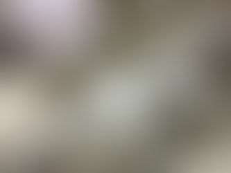 Gap Drone Model from the top View