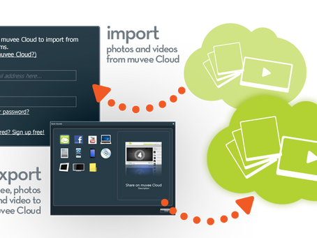 Muvee Reveal Express Crack