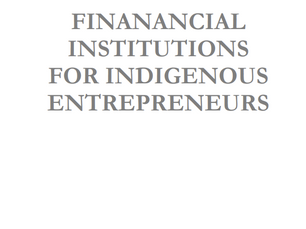 Appendix 5 Financial Institutions For Indigenous Entrepreneurs - BEST Manual