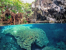 Journey into the Heart of Zanzibar's History: Description of Maalum Cave in Paje. Imagine a mesmerizing photo capturing the essence of Maalum Cave, a hidden historical gem in Paje, Zanzibar. This captivating image offers a glimpse into the rich cultural tapestry of the island. Maalum Cave stands as a testament to Zanzibar's diverse past, with its weathered rock walls showcasing intricate carvings and markings that tell stories of generations long gone. The photo frames the cave's entrance, inviting you to step into its mysterious depths, where history whispers through the air. The cave's location by the ocean lends an aura of mystique, as the waves and winds have shaped its contours over time. This photo transports you to a place where the present meets the past, encouraging exploration and reflection on Zanzibar's vibrant heritage. Maalum Cave is a window to the island's soul, offering a unique journey through time and culture.
