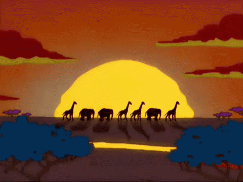 traveling animals.gif