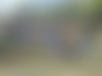 猛暑の山で下草刈り 都幾川源流の森づくり