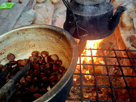 囲炉裏で栗の実を茹でます