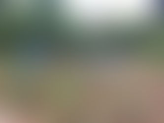 残暑厳しい山里で、山菜等山の特産品作り支援活動です