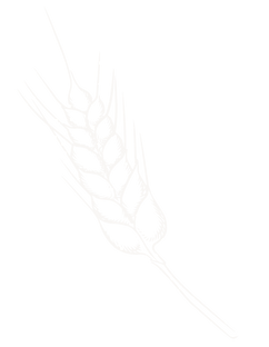 Decorative white wheat icon.
