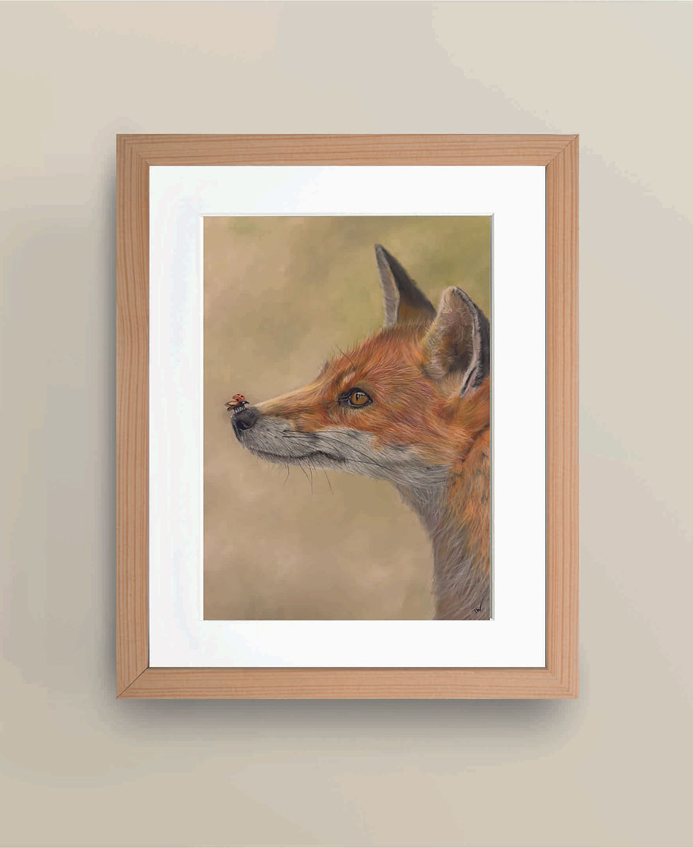 'A beautiful Encounter' A4 Limited Edition Giclee Print