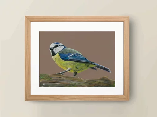 A4 'Blue Tit' Giclée Print