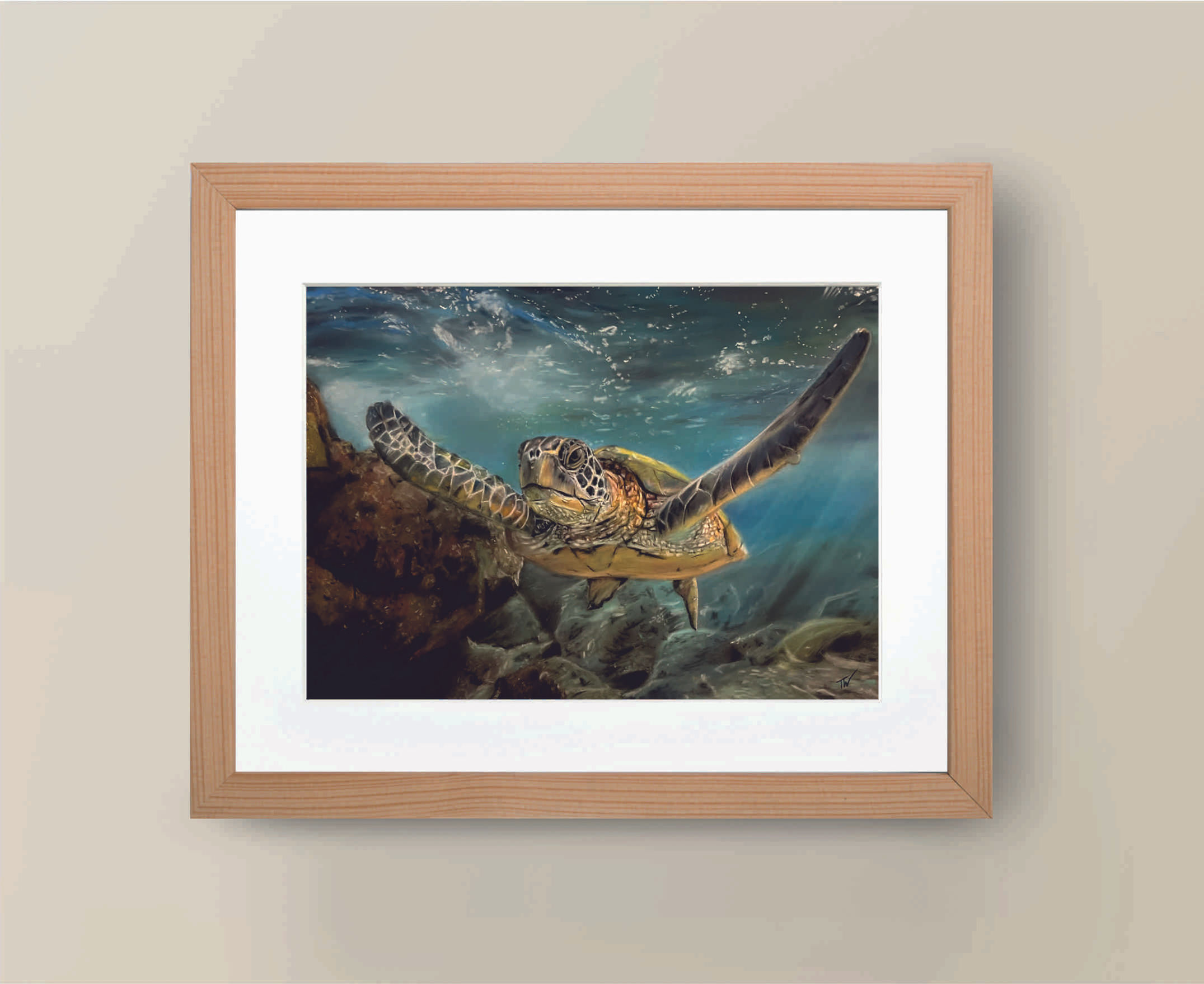'Green Sea Turtle' Limited Edition Print