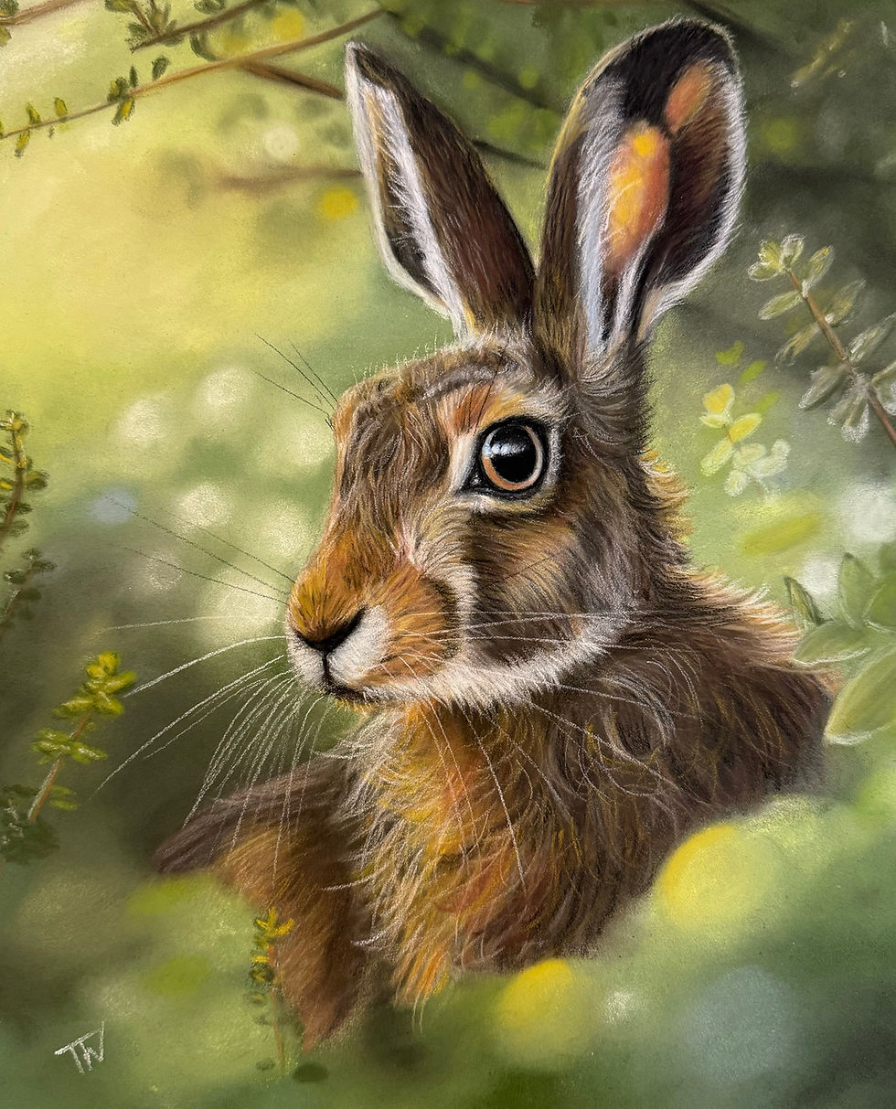 'The Hare’s Hideaway' Limited Edition Giclee Print