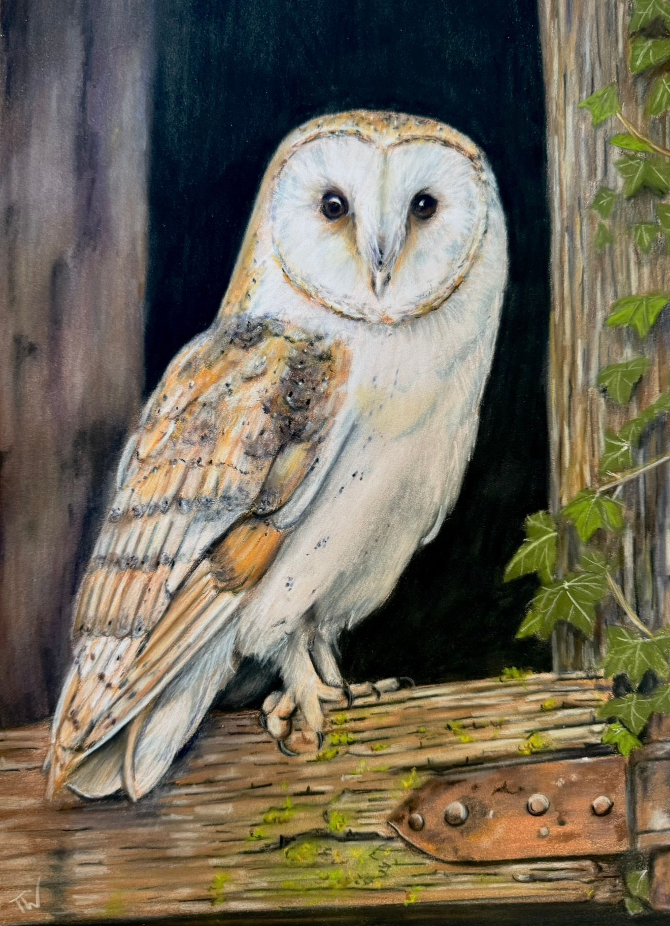 The Barn Owl original artwork 